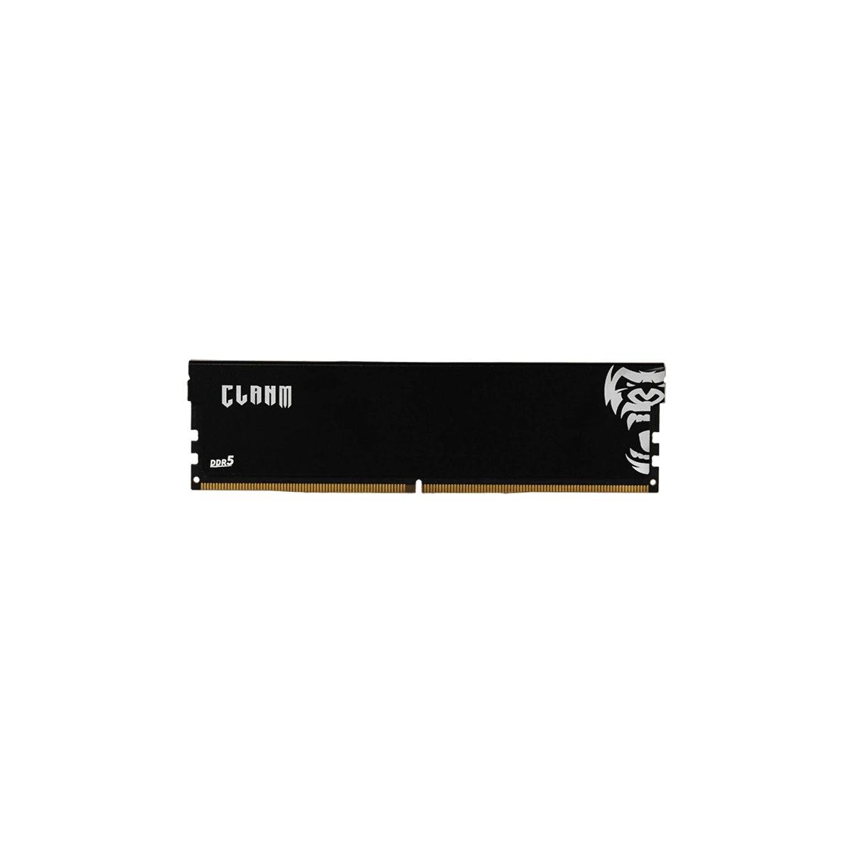 Memória DDR5 16GB 6000MHz Preto Clanm (Cód. 13413)